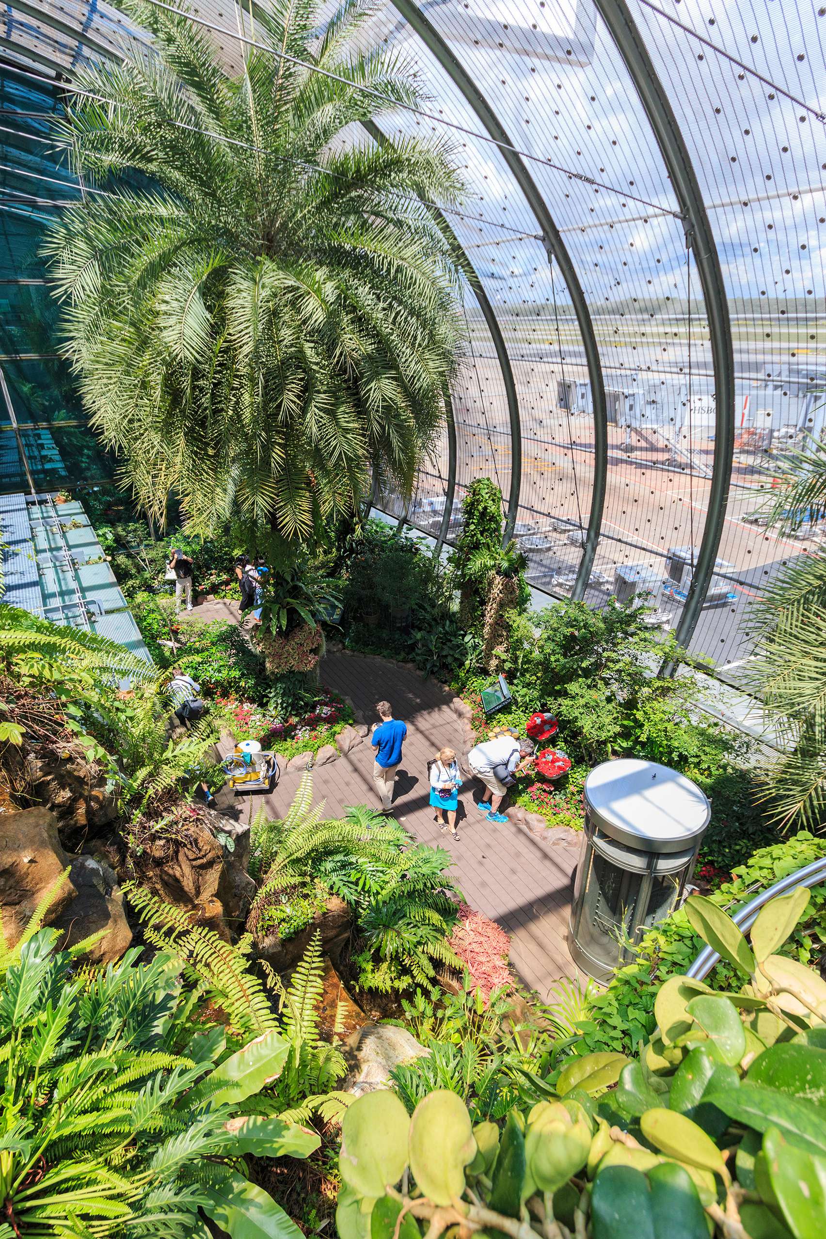  Butterfly  Garden  in Changi  Singapore  s international  