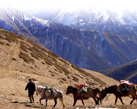 ladakh
