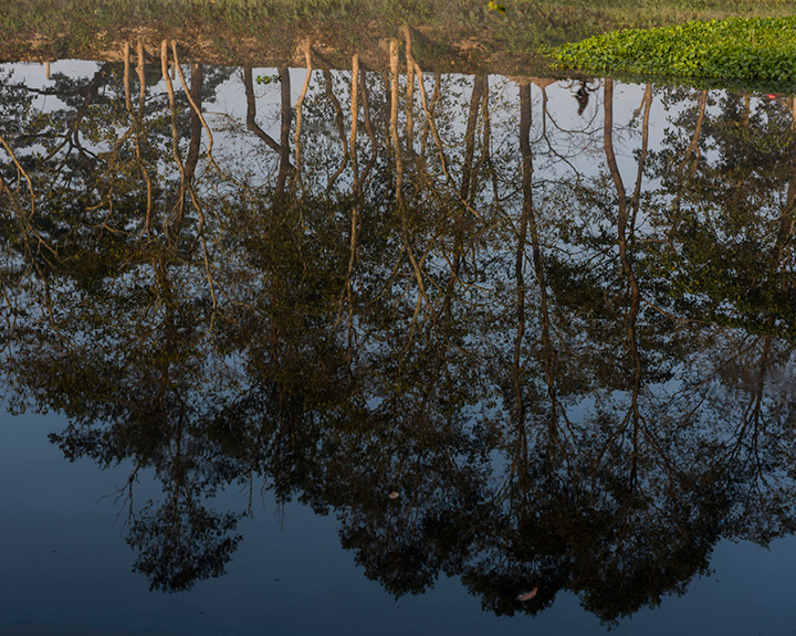 Majuli