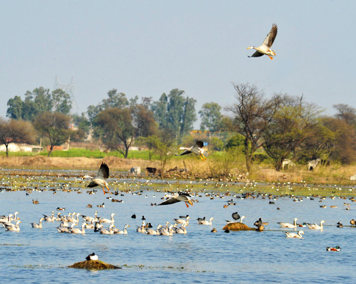 Picnic Spots in Delhi