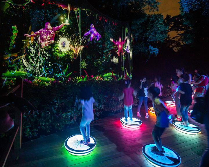 RAINFOREST_LUMINA