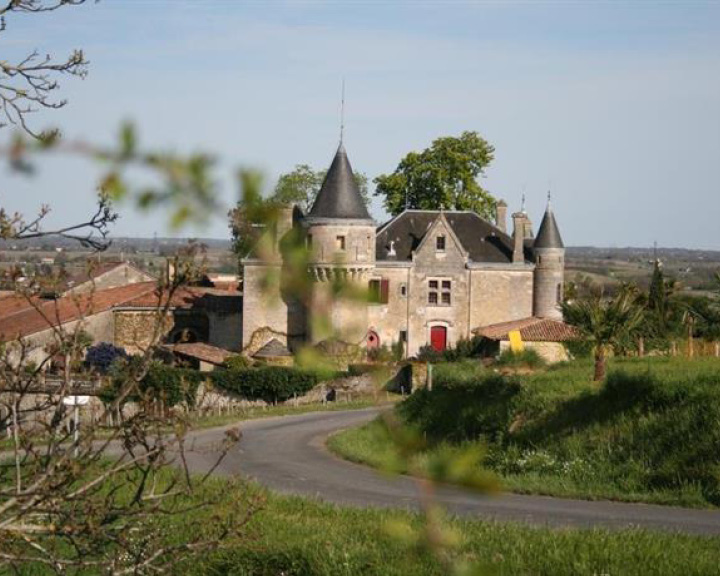 Stay in a French Vineyard in Bordeaux