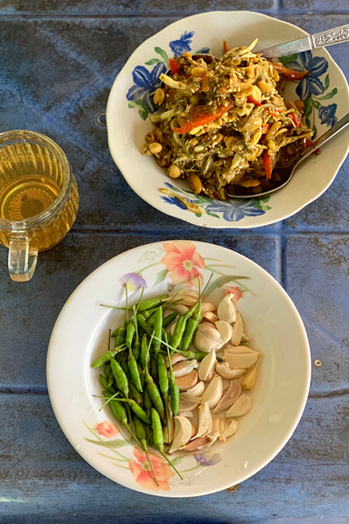 Vegan traveller