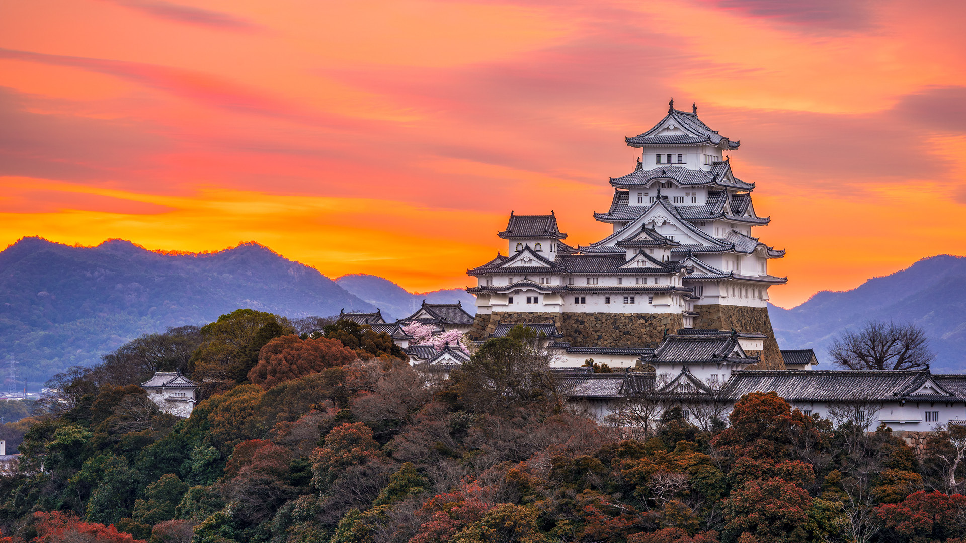 One Of Japan S Premier Historic Castles - HooDoo Wallpaper