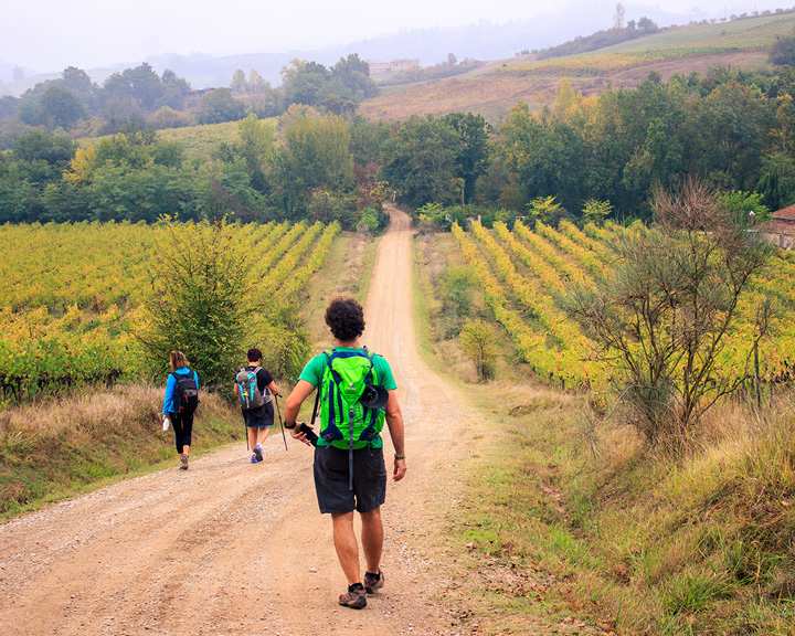 Via Francigena