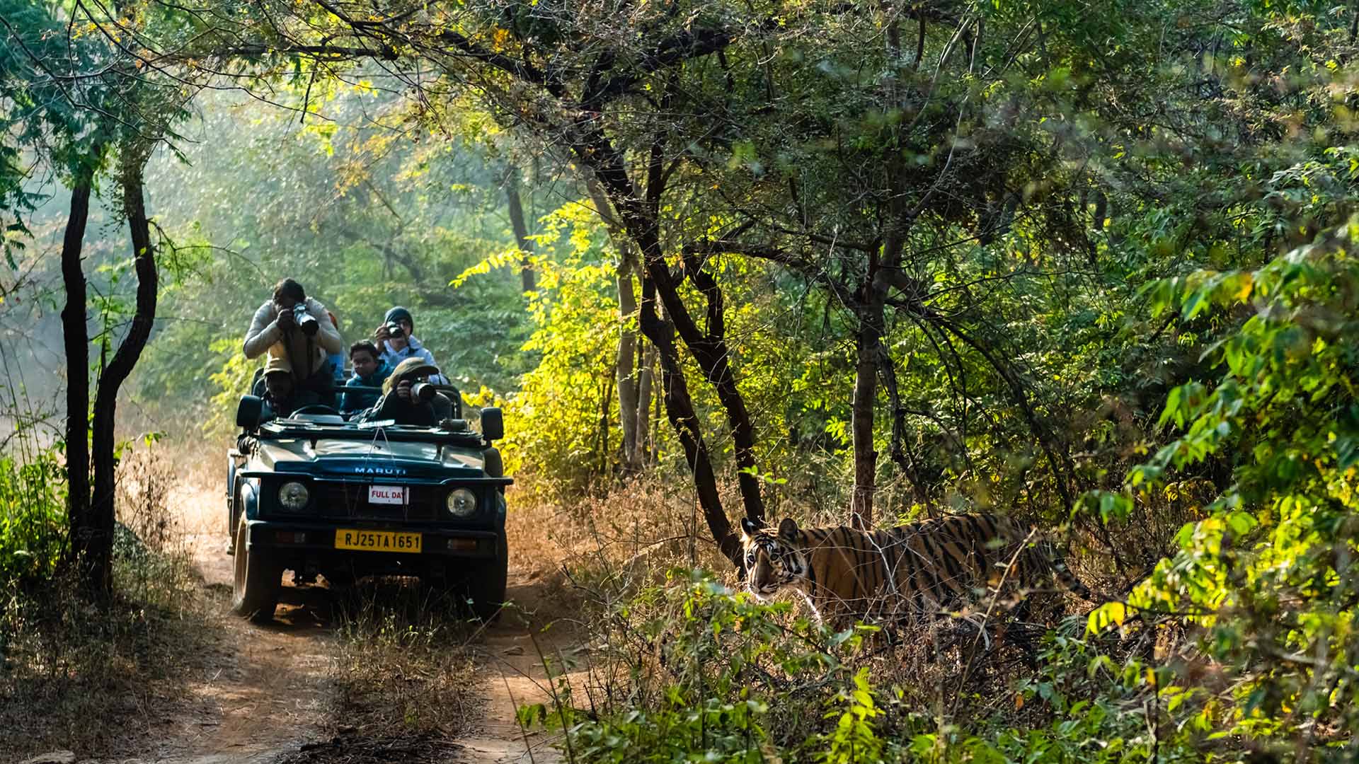 Chase The Wild In Ranthambore National Park Through These Stunning Photos