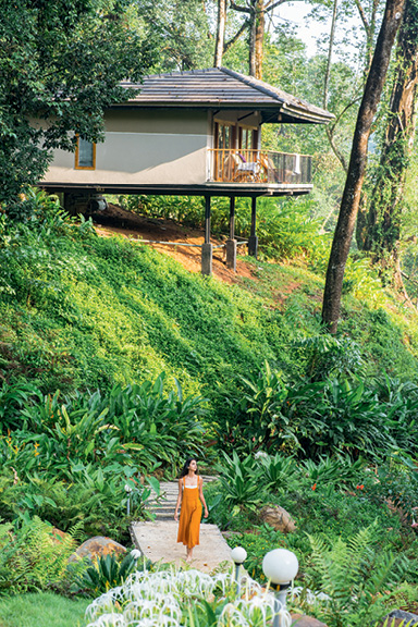 Ayatana Coorg
