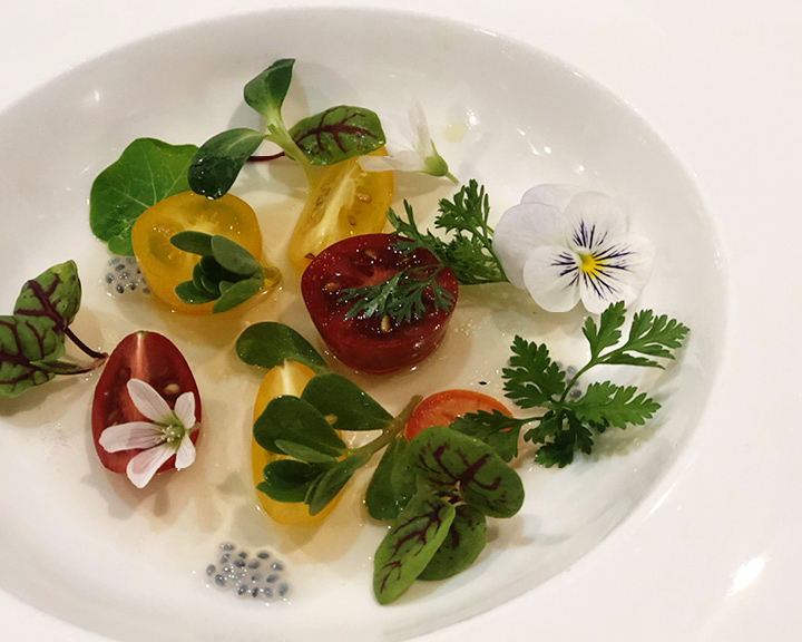 Michelin Star Chef Steve Litke