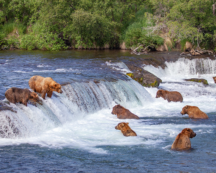 Katmai National Park And Preserve