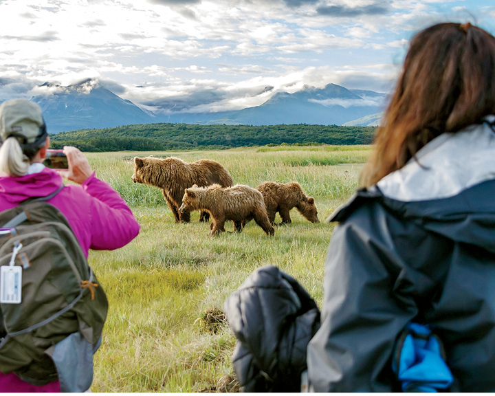 Katmai National Park And Preserve