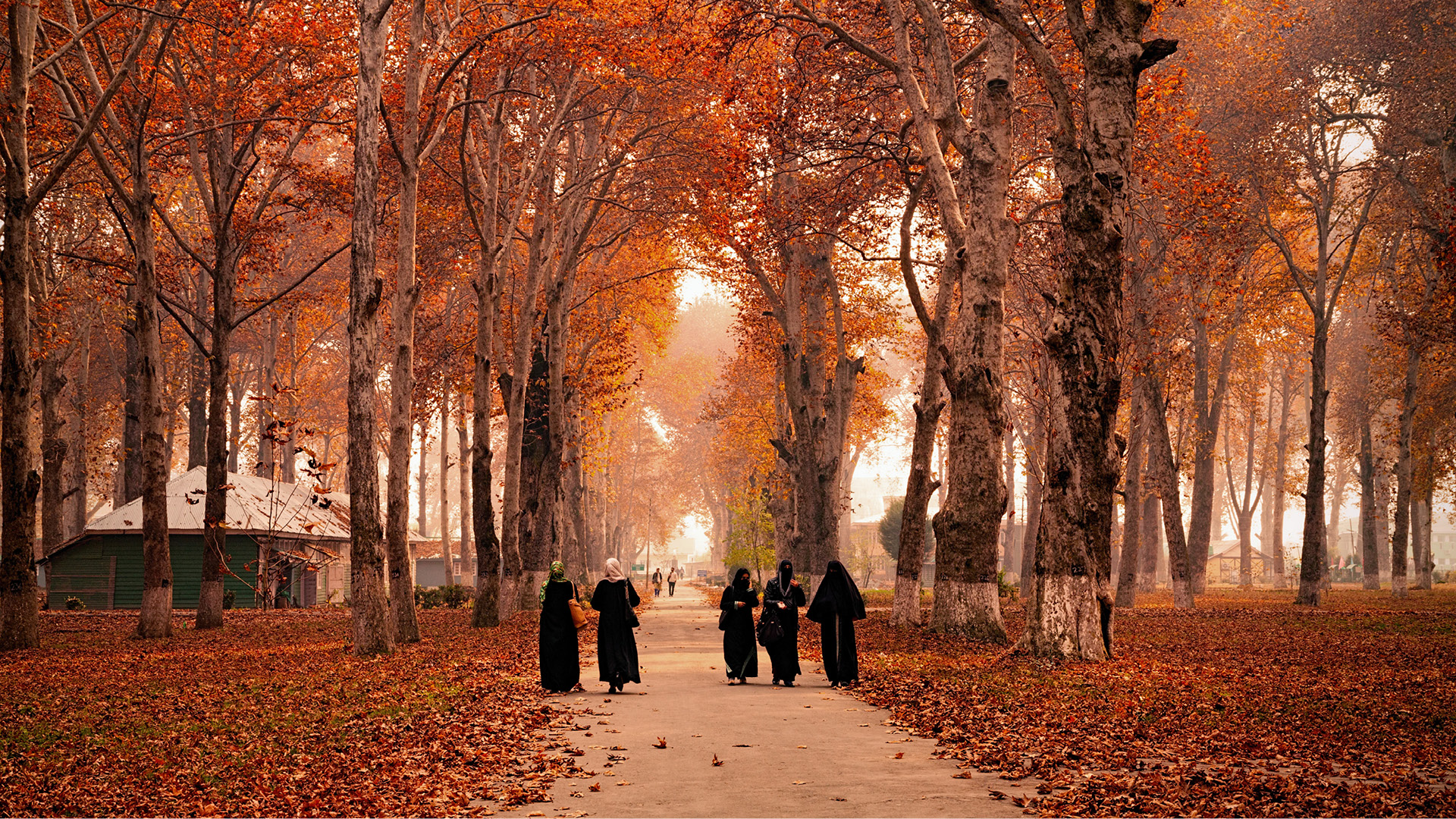 Autumn In India Add These Places To Your Bucket List!