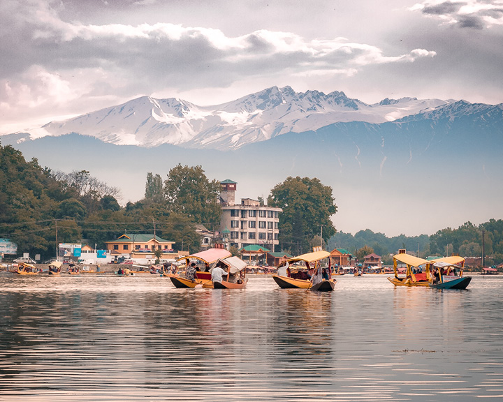 Kashmir