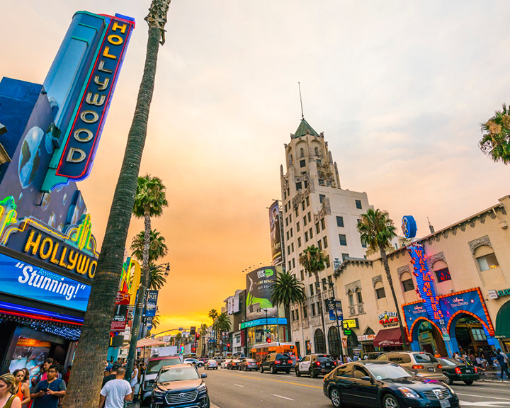Intelligent Traveller In Los Angeles