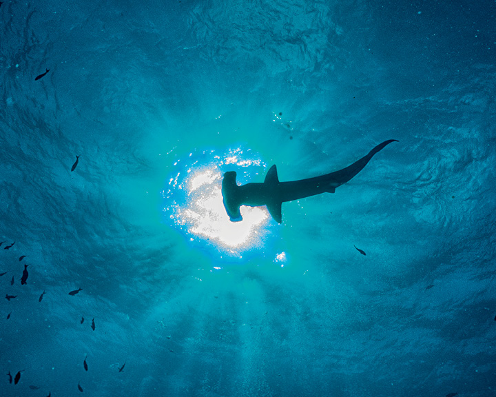 Galápagos Islands Images