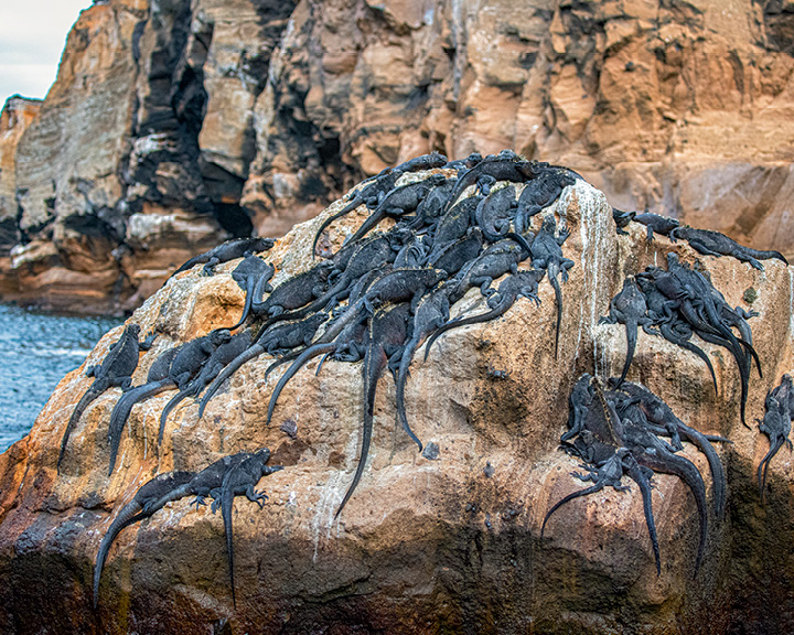 Galápagos Islands Images