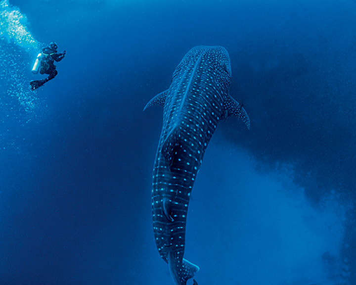 Galápagos Islands Images