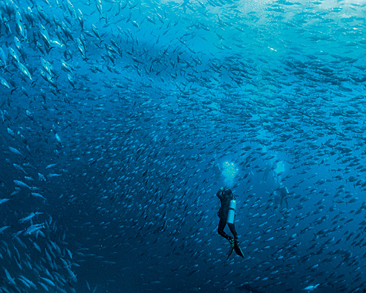 Galápagos Islands Images