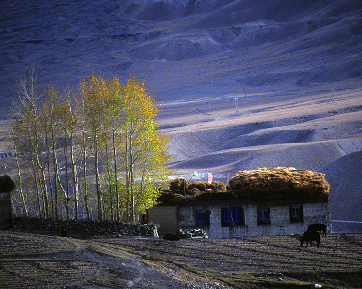 Spiti