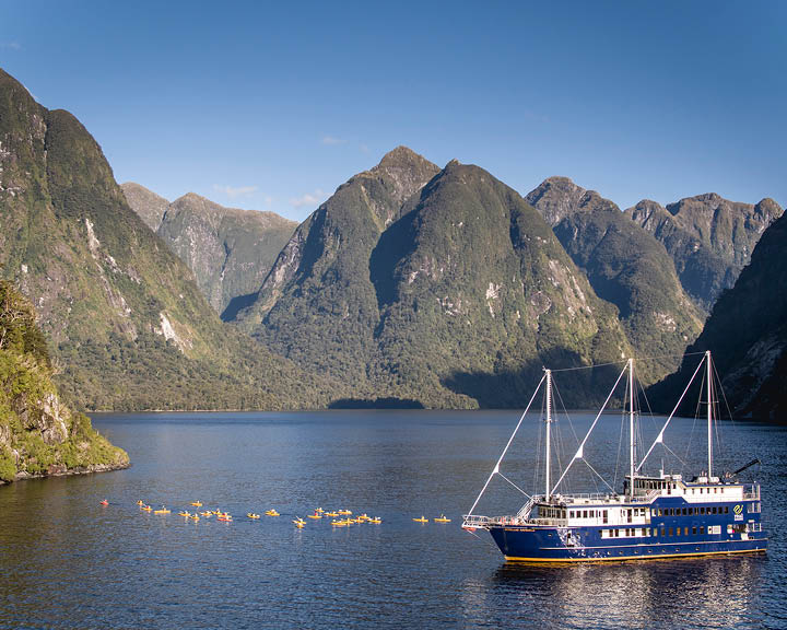 New Zealand Adventures