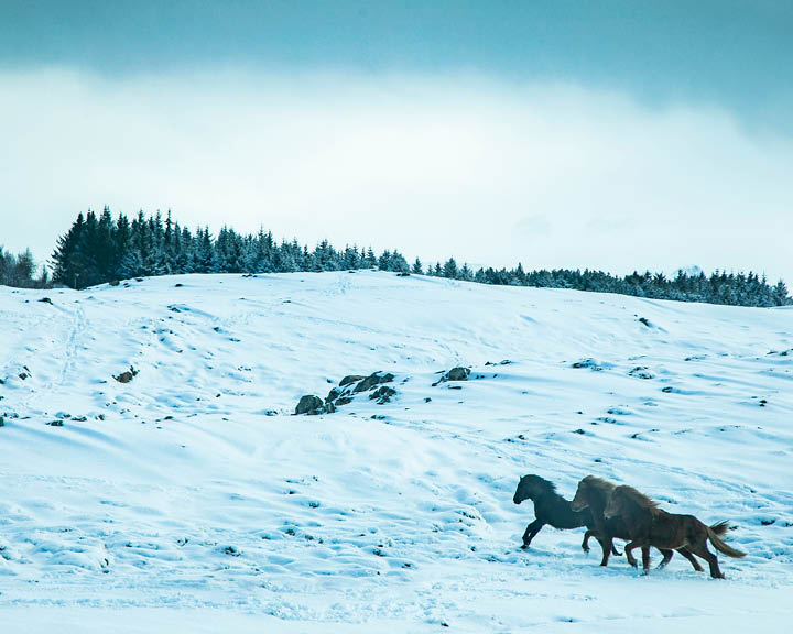 Winter Wonderland Iceland