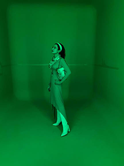 Shalini Passi Abu Dhabi Art Fair