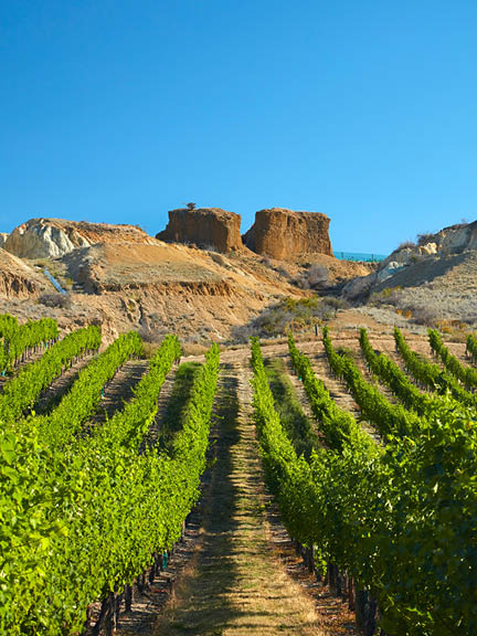 Mt Difficulty Wines