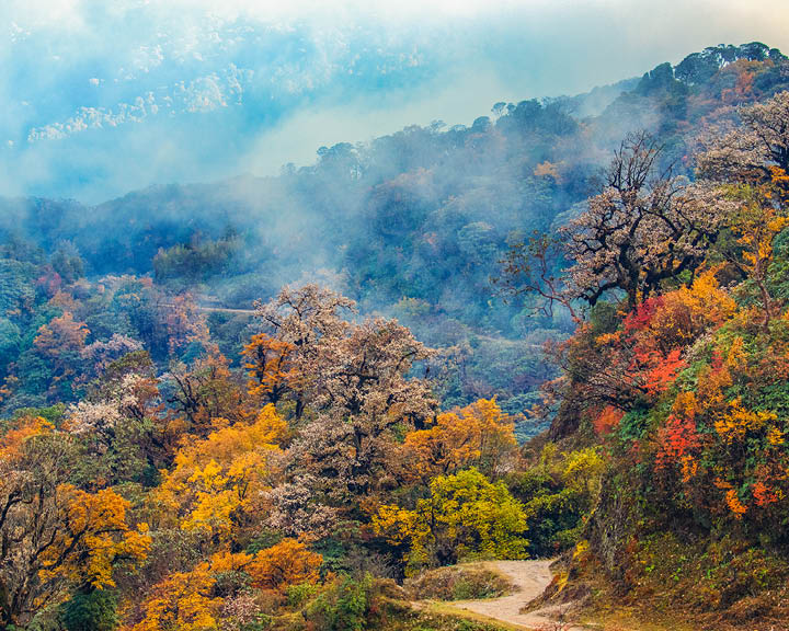 Singalila National Park