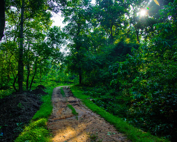 Nature & History In Eastern India