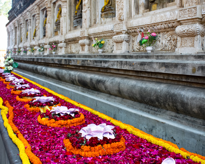 Offbeat Experiences In India