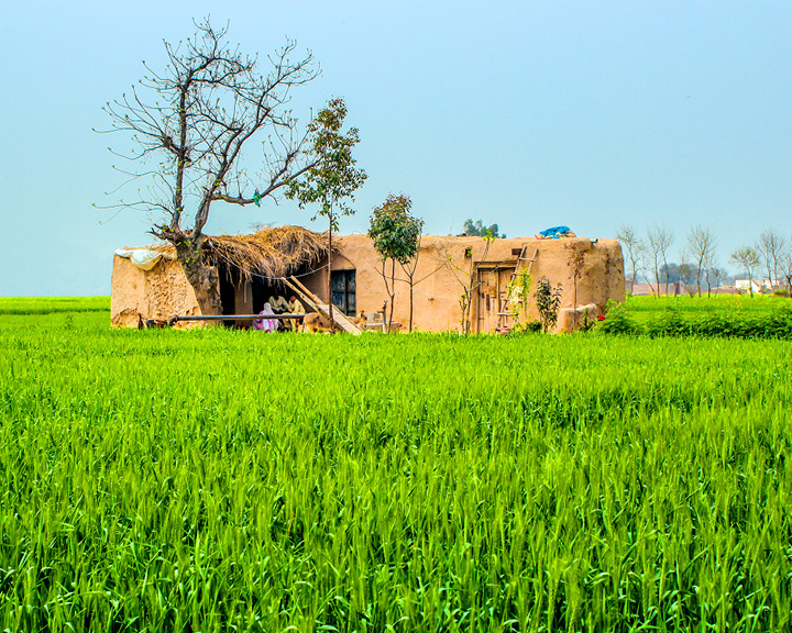 Offbeat Experiences In India