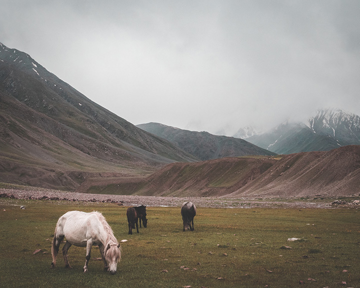 Trek From Kinnaur To Spiti