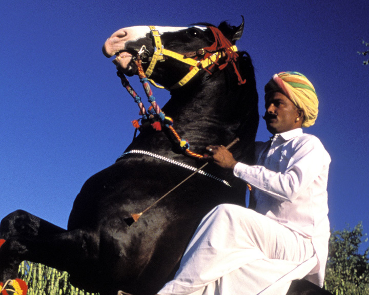 Narlai In Rajasthan