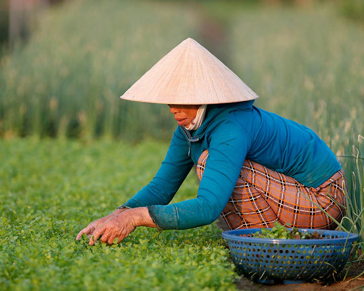 Explore Vietnam
