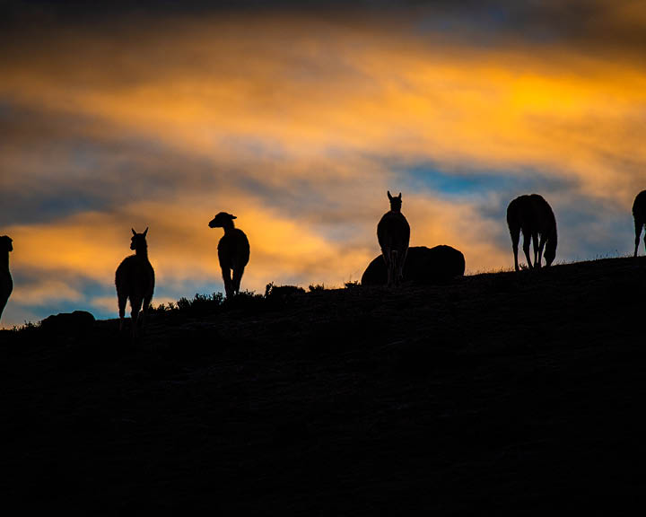 Torres del Paine National Park