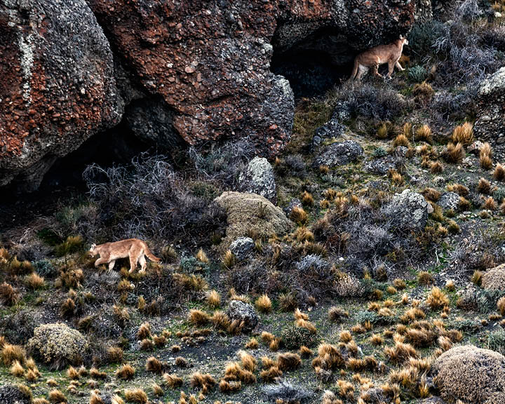 Torres del Paine National Park