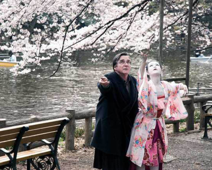 Virtually Travel to Japan