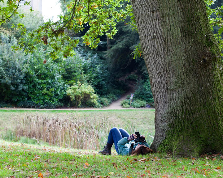 The United Kingdom Wellness