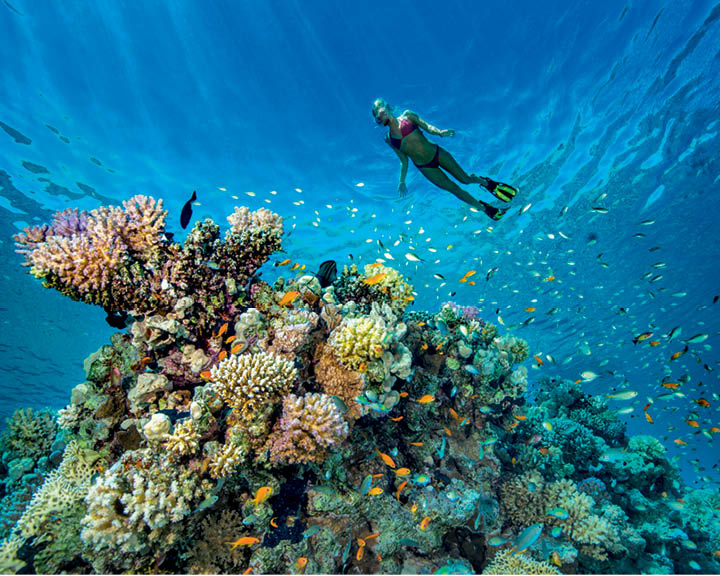 diving in egypt