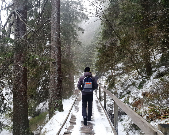 Germany's Black Forest