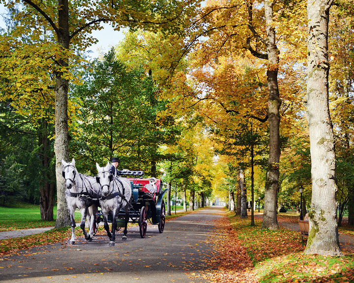 Germany's Black Forest