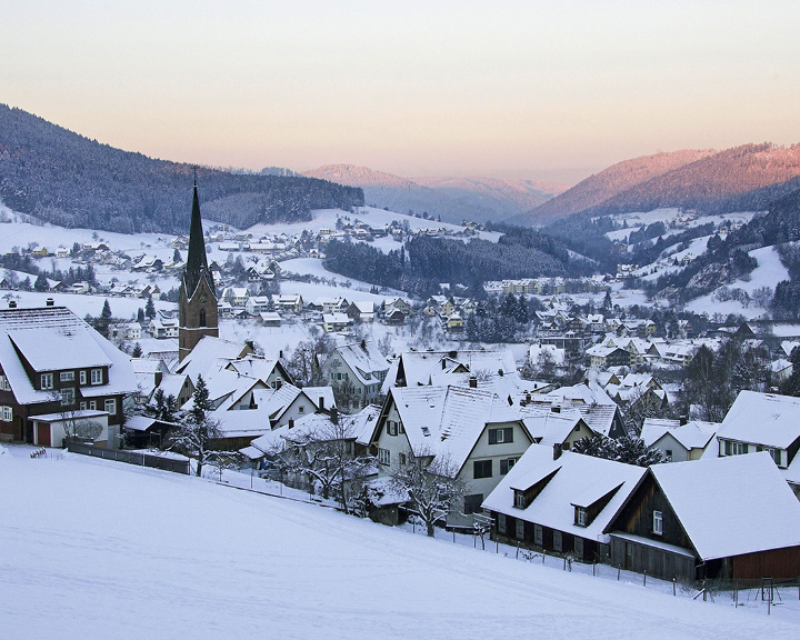 Germany's Black Forest