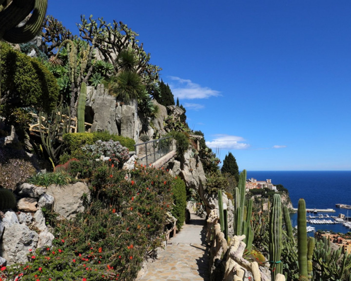 virtual trips monaco