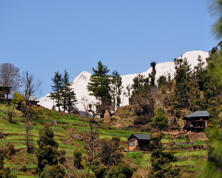 Himachal Pradesh’s Barot