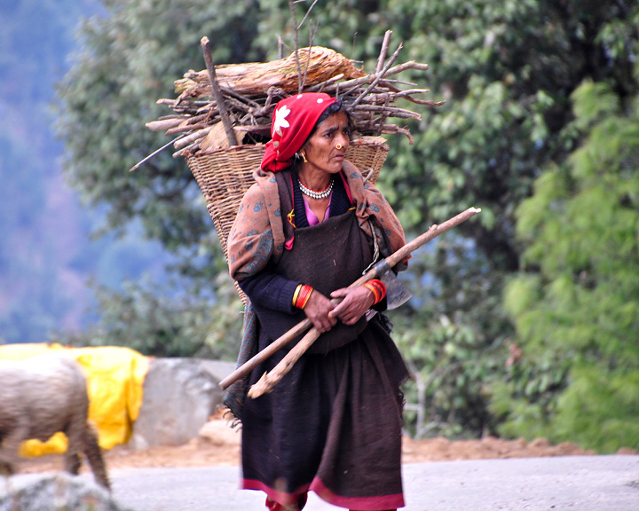 Himachal Pradesh’s Barot