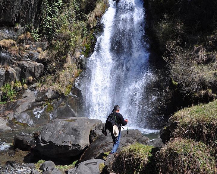 Himachal Pradesh’s Barot