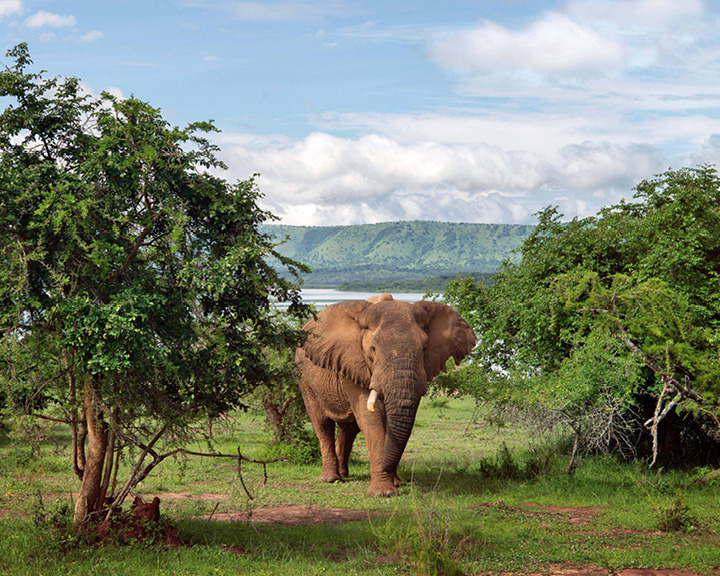 Rwanda