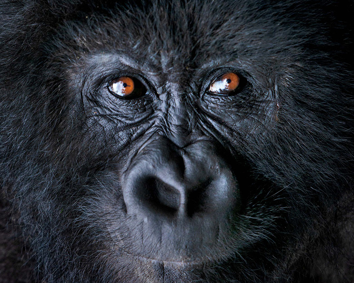 Rwanda
