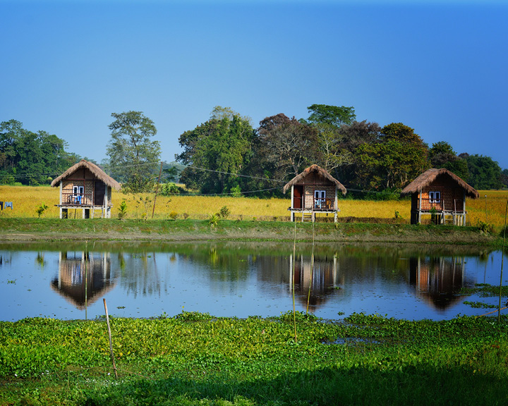 River Island Majuli