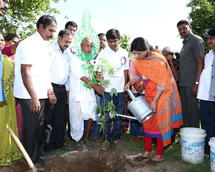 Daripalli Ramaiah