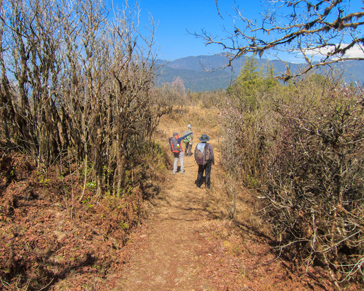 Sandakphu West Bengal